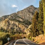 Landscape Tree Nature Forest Rock Wilderness 597140 Pxhere.com 1 150x150